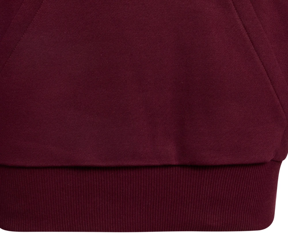 Bluza vaikams adidas Essentials Hoodie bordinė KT3380 (128cm)
