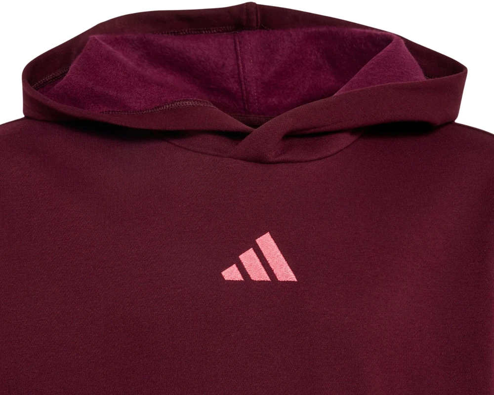 Bluza vaikams adidas Essentials Hoodie bordinė KT3380 (128cm)