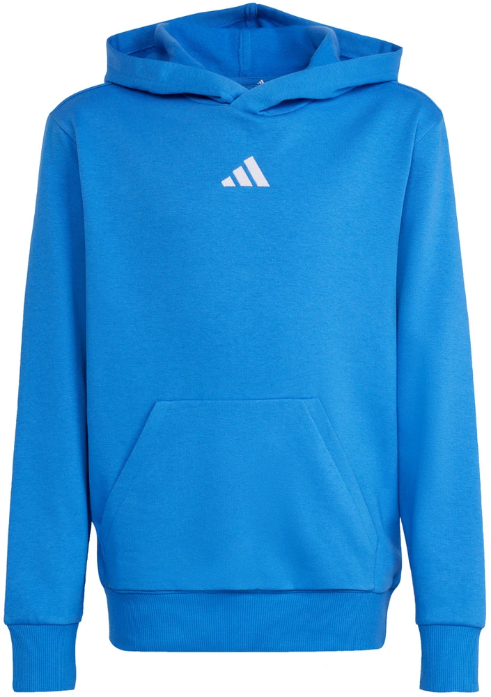 Bluza vaikams adidas Essentials Hoodie mėlyna KD3382 (176cm)
