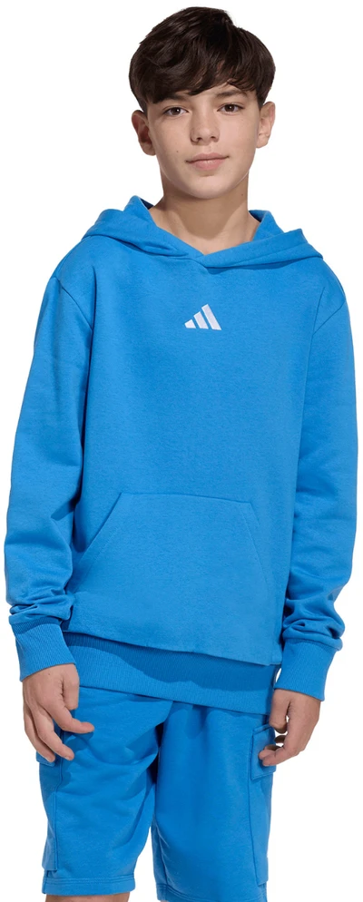 Bluza vaikams adidas Essentials Hoodie mėlyna KD3382 (176cm)