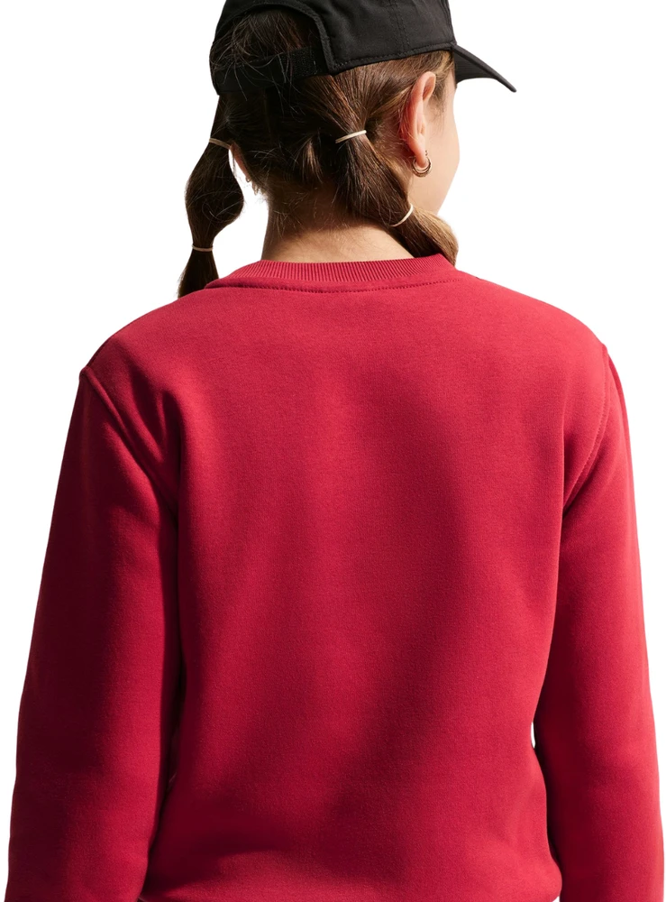 Bluza vaikams Nike Sportswear Club Fleece raudona FD3006 608 (M)
