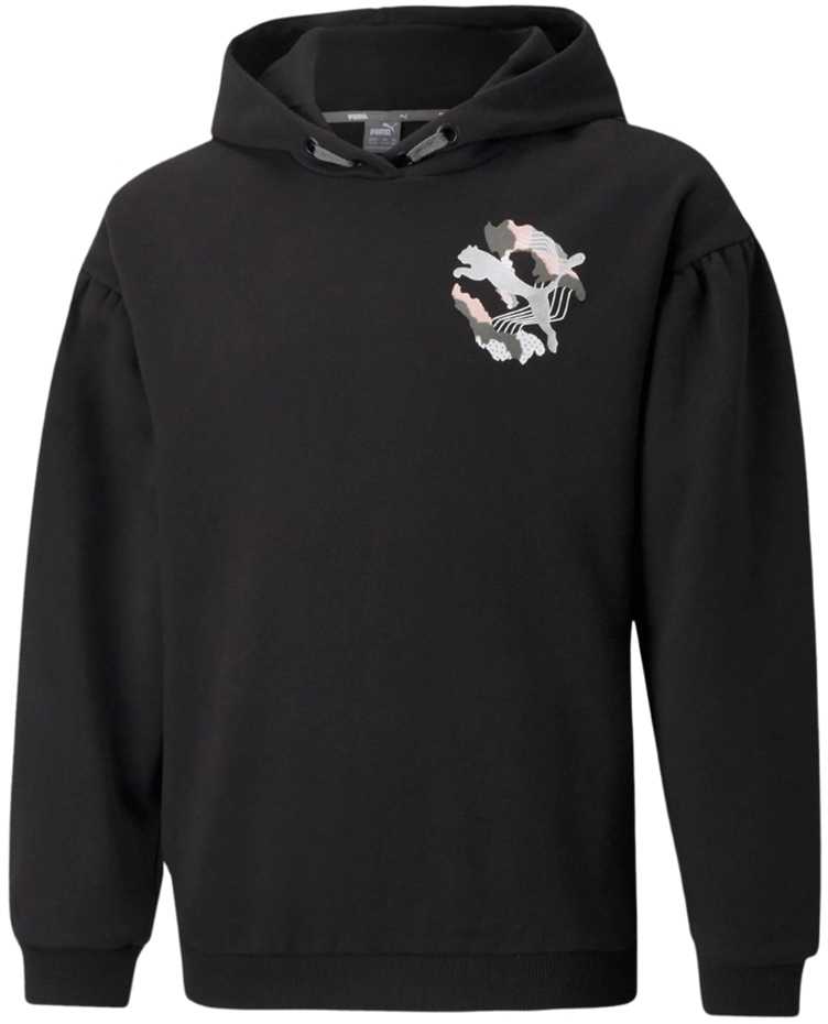 Puma Alpha Hoodie FL Jr džemperis 589232 01