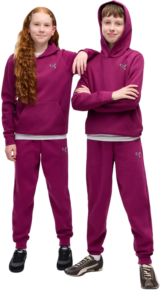 Bluza vaikams Puma ESS Elevated Hoodie FL fuksja 694701 41 (152cm)