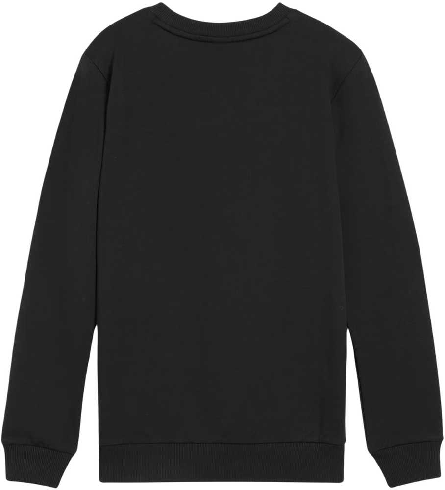 Bluza vaikams Puma Team Goal Casuals Crew Neck Sweat juoda 658593 03 (140cm)