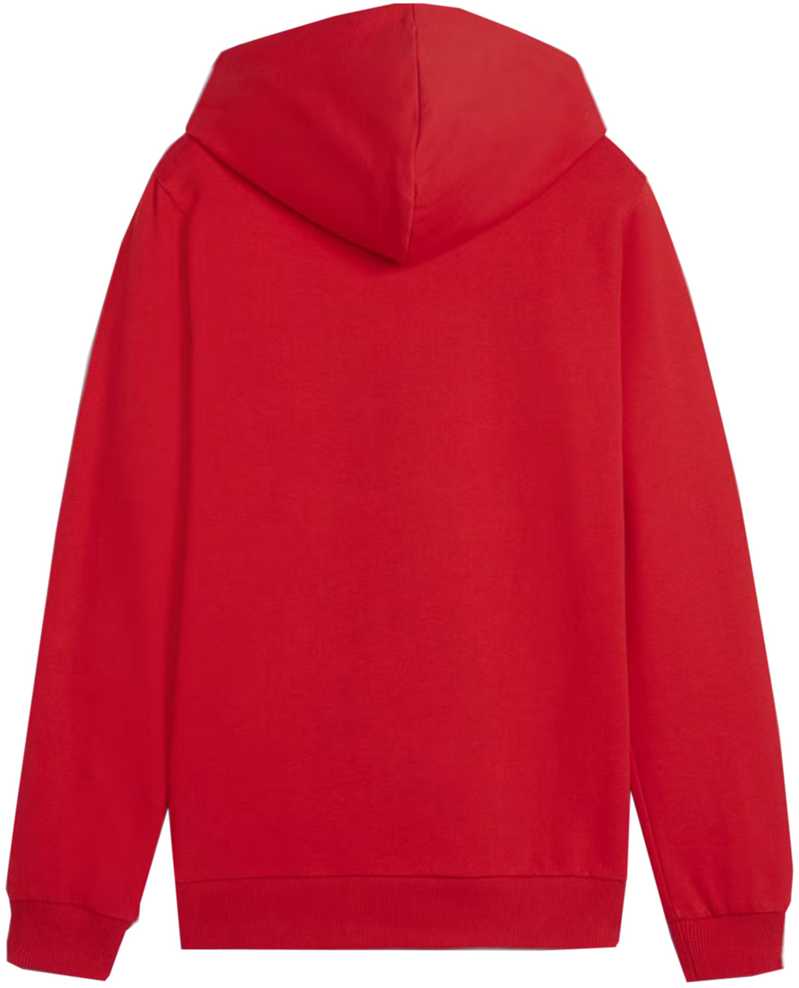 Bluza vaikams Puma Team Goal Casuals Hoddy raudona 658619 01 (152cm)