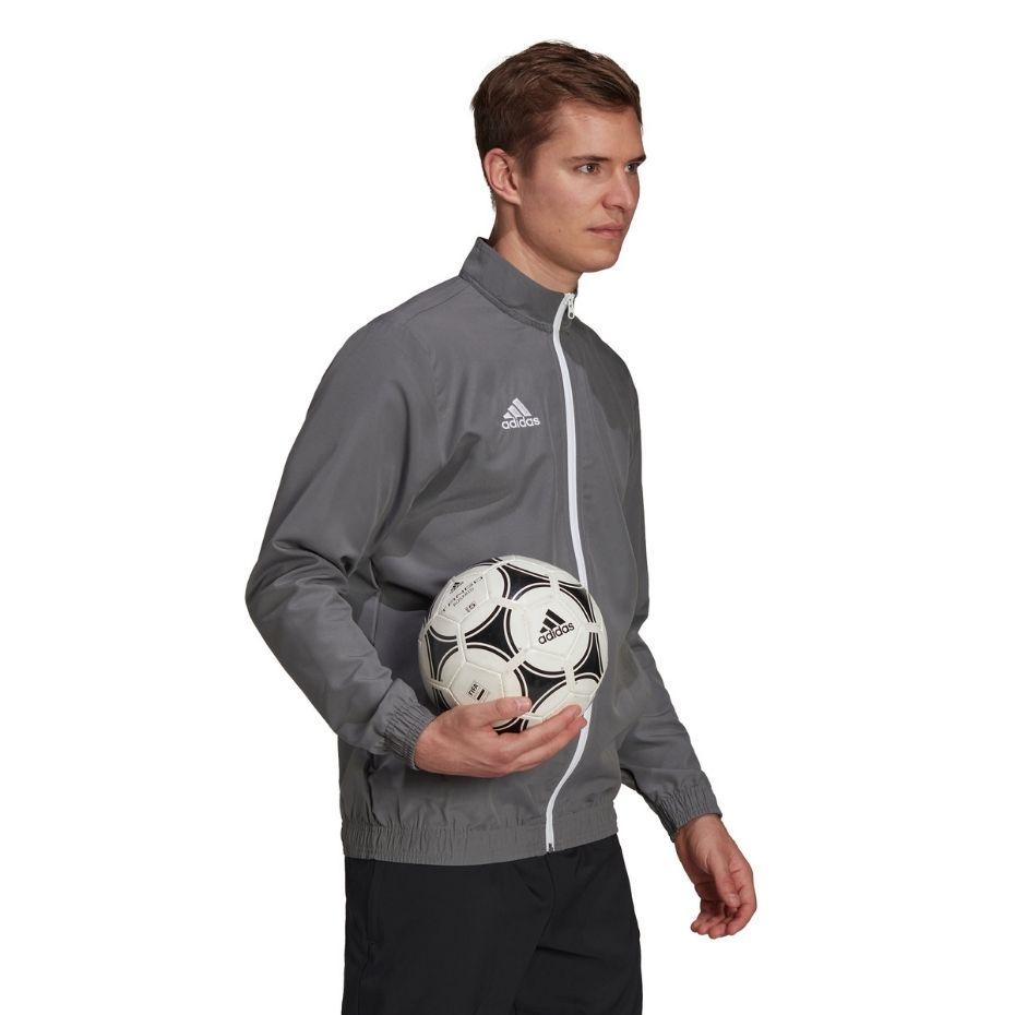 Adidas Entrada 22 Presentation Jacket pilkas vyriškas megztinis H57535 (S)