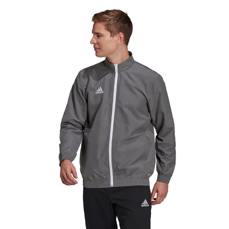 Adidas Entrada 22 Presentation Jacket pilkas vyriškas megztinis H57535 (2XL)