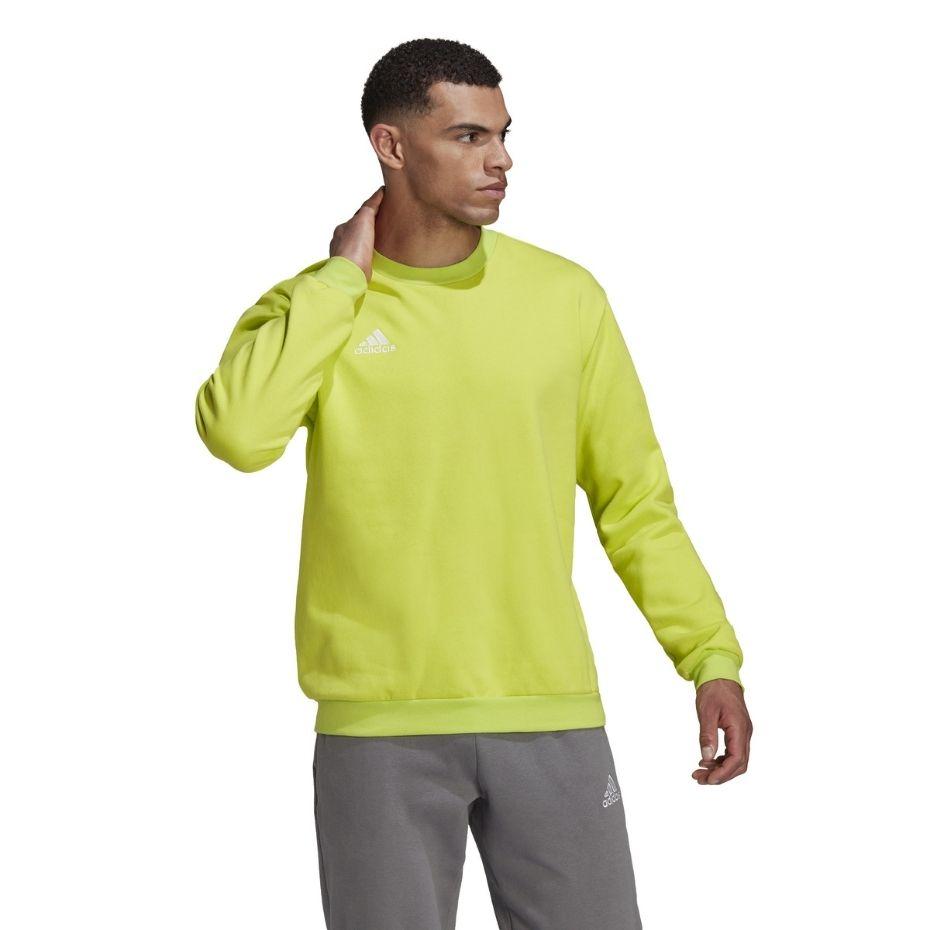 Bluza vyriška adidas Entrada 22 Sweat Top limonkowa HC5049 (S)