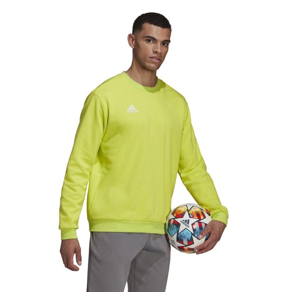 Bluza vyriška adidas Entrada 22 Sweat Top limonkowa HC5049 (L)