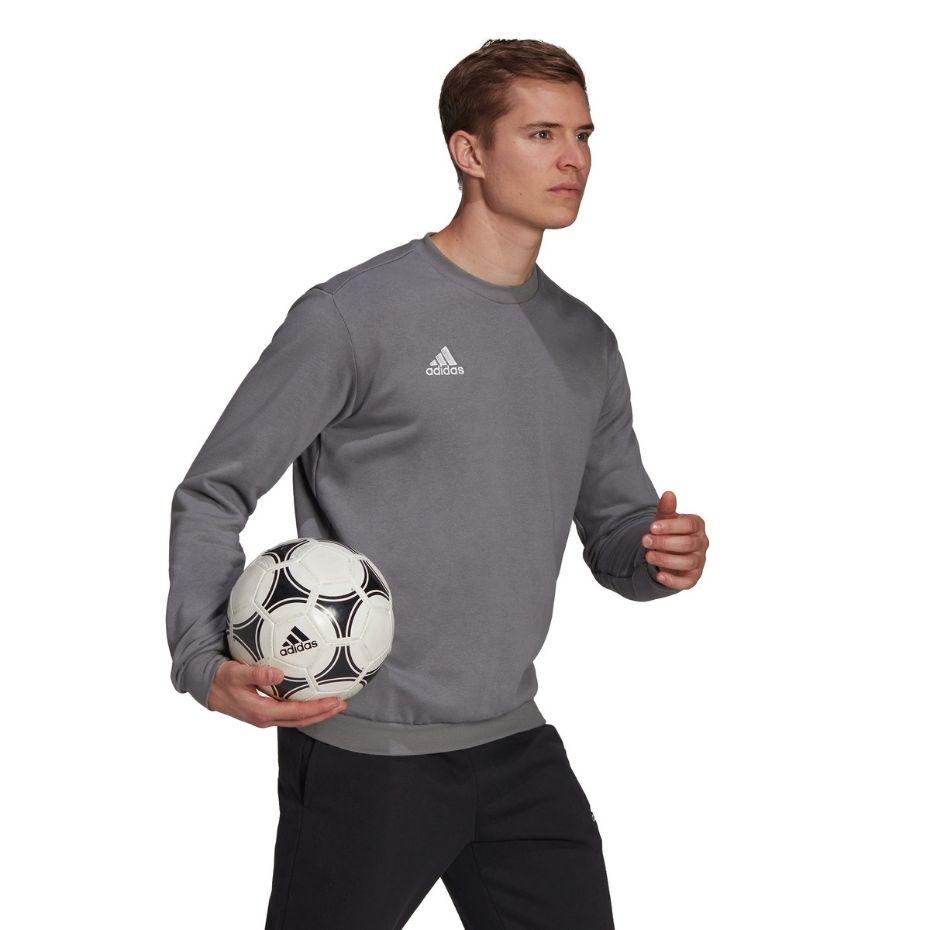 Adidas Entrada 22 Sweat Top pilkas megztinis H57479 (M)