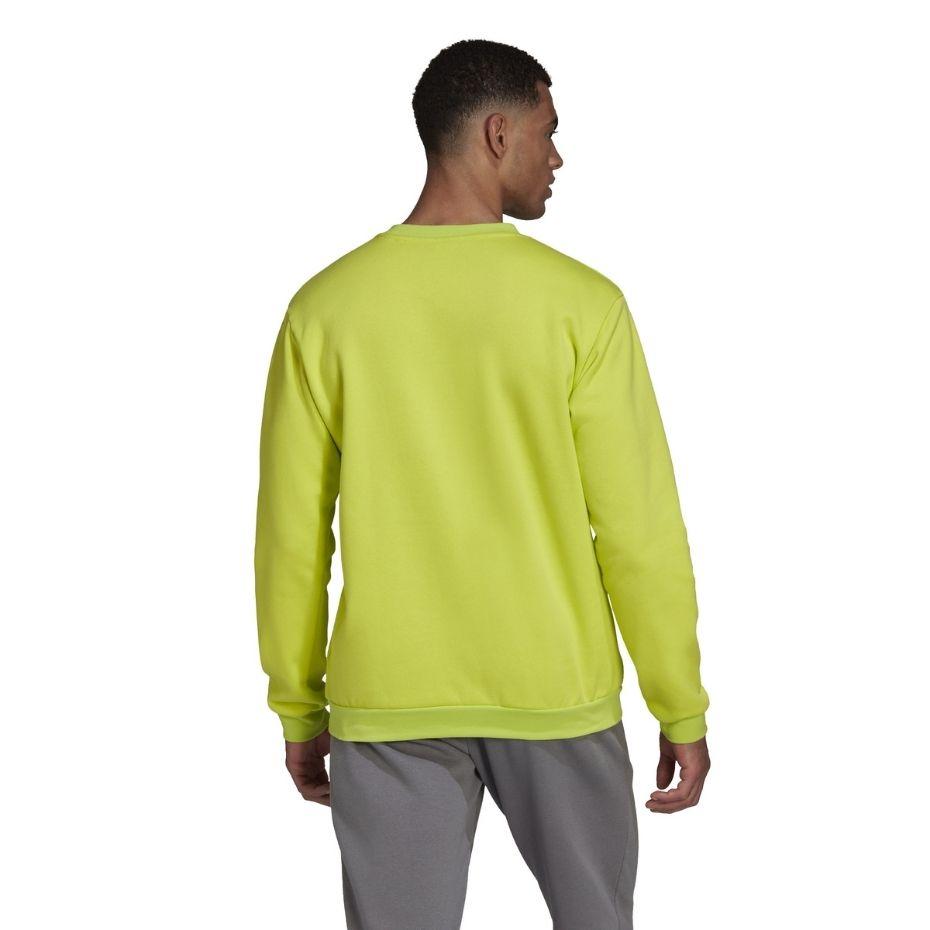 Bluza vyriška adidas Entrada 22 Sweat Top limonkowa HC5049 (L)