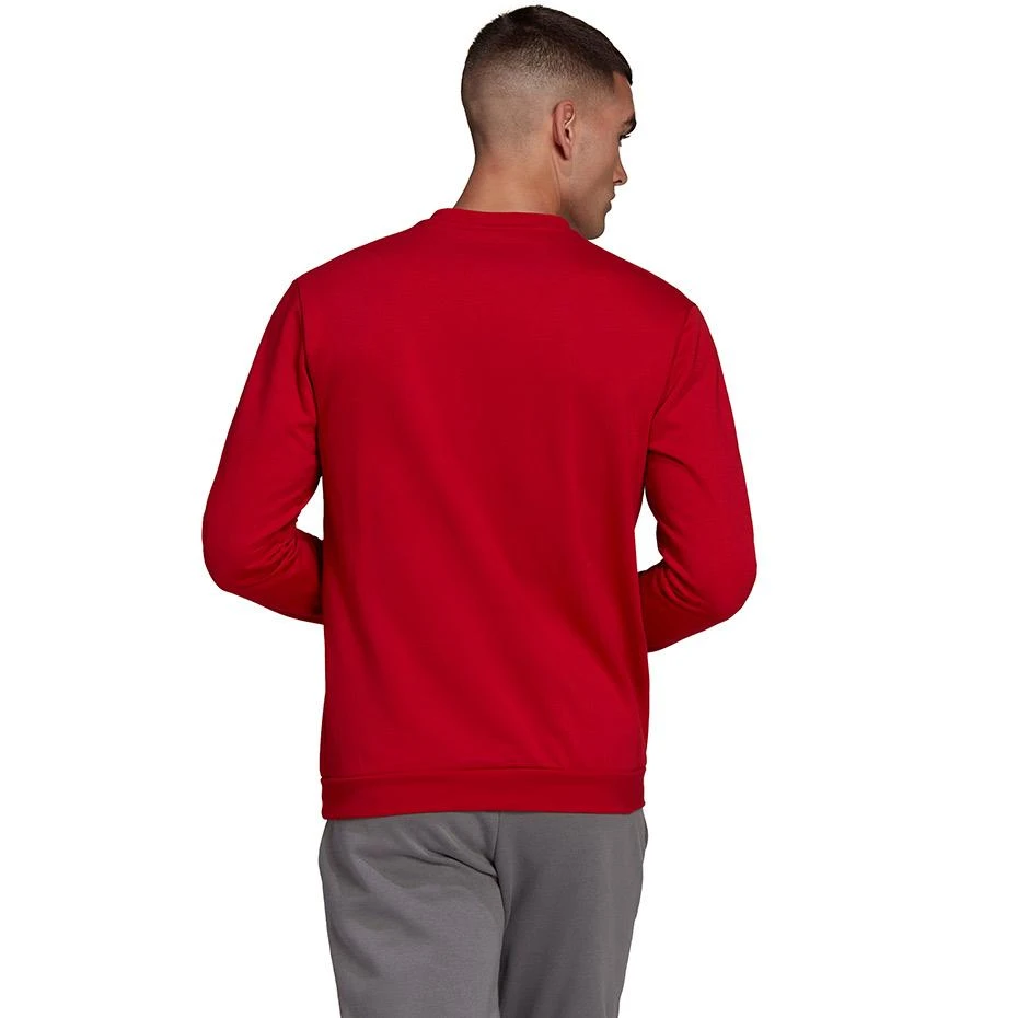 Vyriškas Džemperis adidas Entrada Raudonas HB0577 XL