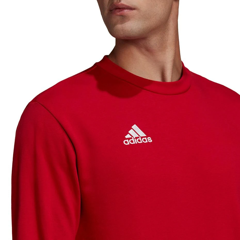 Vyriškas Džemperis adidas Entrada Raudonas HB0577 XL