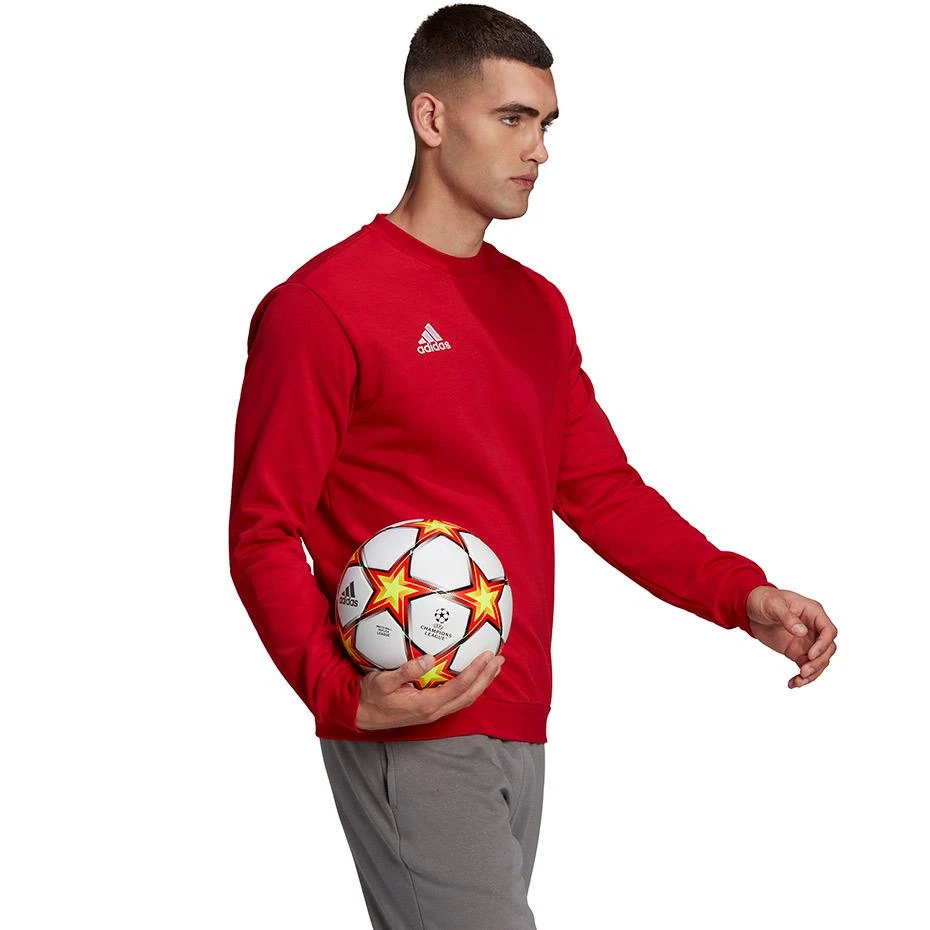 Vyriškas Džemperis adidas Entrada Raudonas HB0577 XL