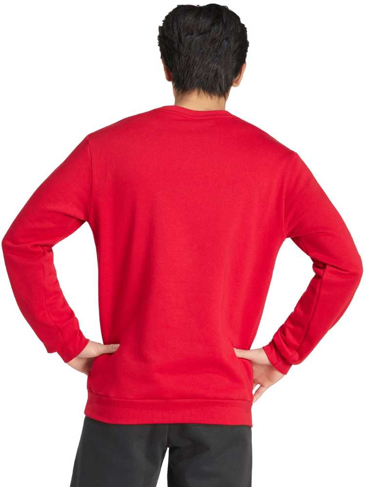 Bluza vyriška adidas Entrada 26 Sweat Top raudona JZ6575 (M)