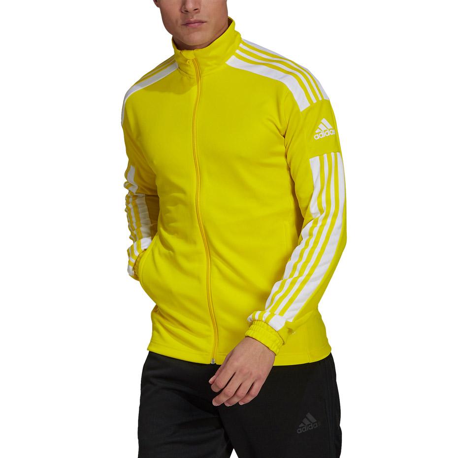 Adidas Squadra 21 Training geltonas megztinis GP6465 (S)