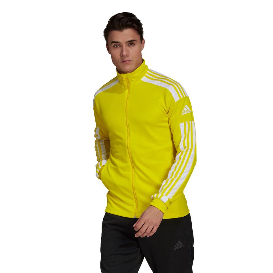 Adidas Squadra 21 Training geltonas megztinis GP6465 (S)
