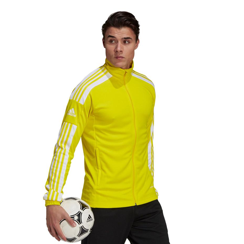 Adidas Squadra 21 Training geltonas megztinis GP6465 (S)