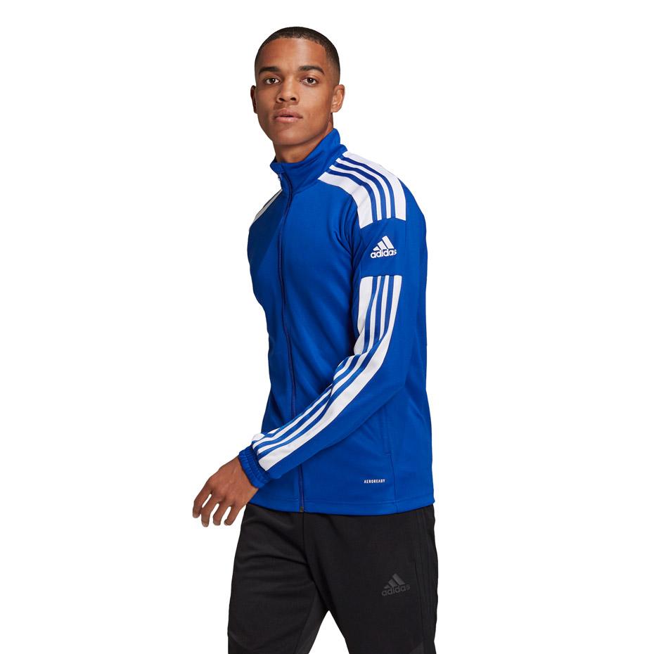 Adidas Squadra 21 Treniruočių M džemperis GP6463