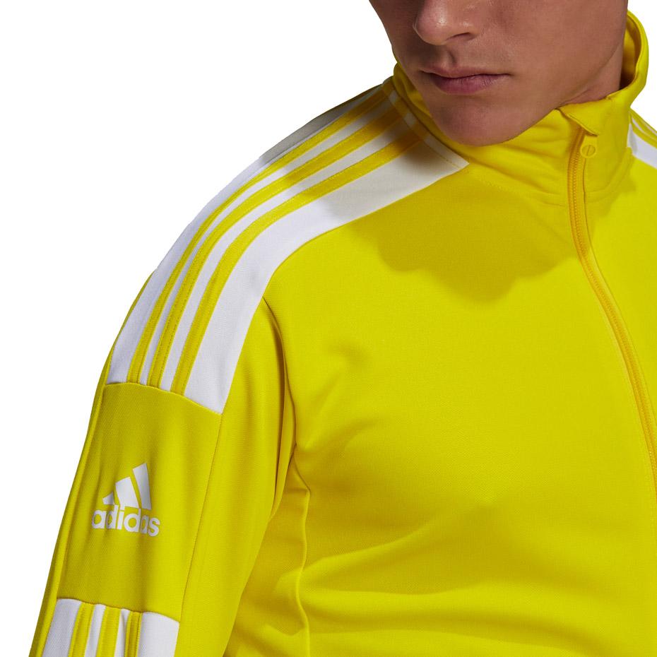 Adidas Squadra 21 Training geltonas megztinis GP6465 (M)