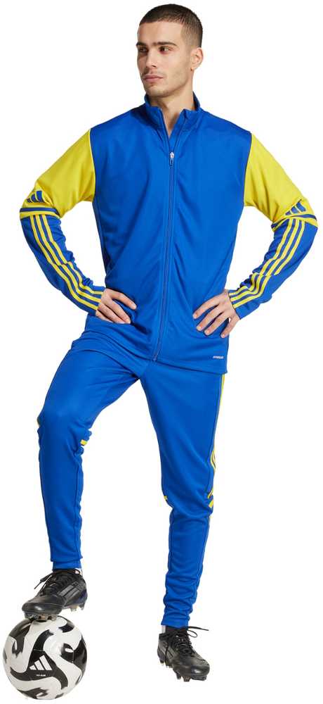 Bluza vyriška adidas Squadra 25 Training mėlyna-geltona JP3153 (L)