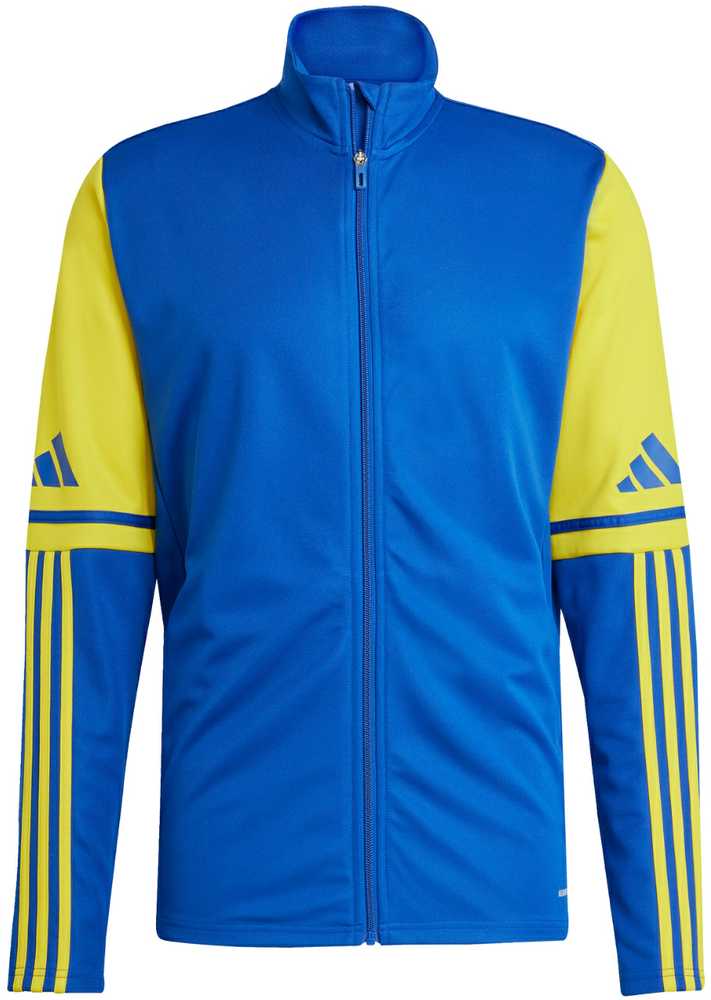 Bluza vyriška adidas Squadra 25 Training mėlyna-geltona JP3153 (L)