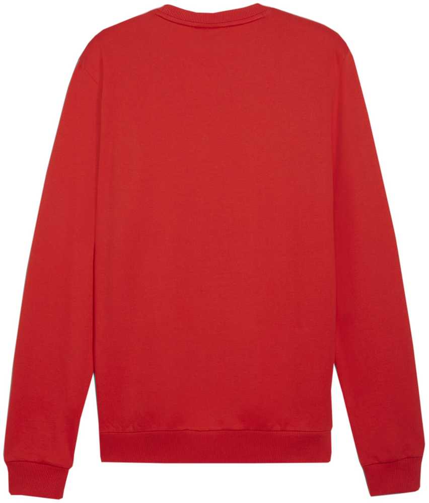 Bluza vyriška Puma Team Goal Casuals Crew Neck Sweat raudona 658592 01 (M)