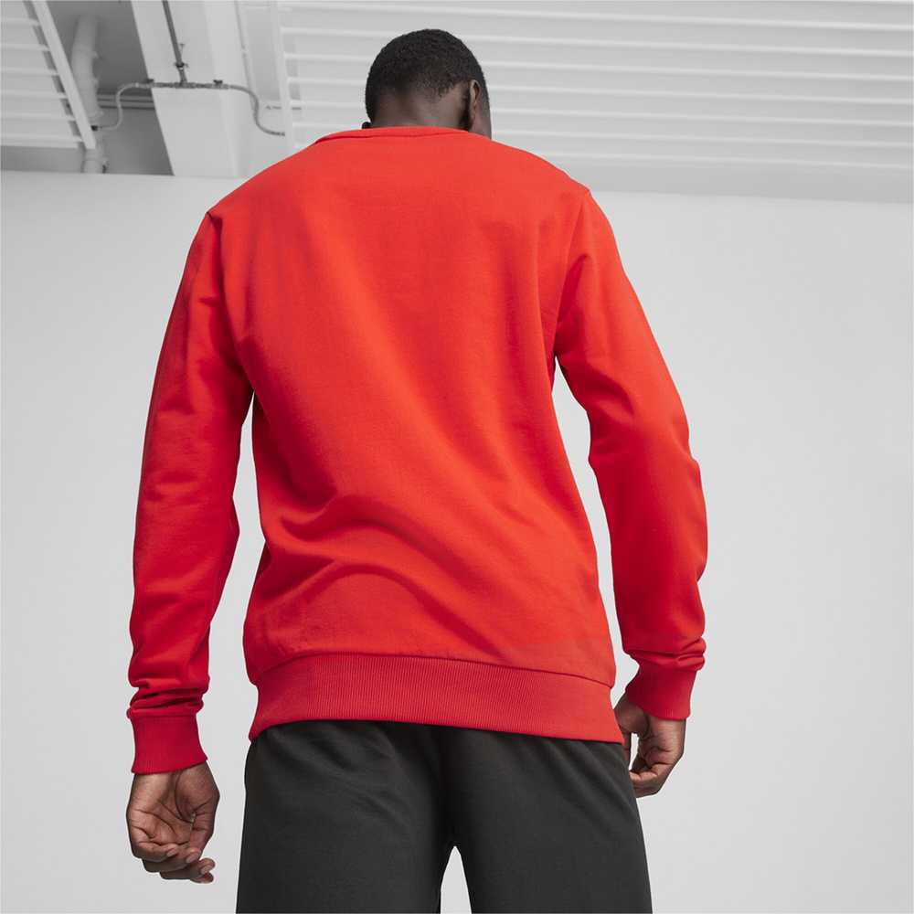 Bluza vyriška Puma Team Goal Casuals Crew Neck Sweat raudona 658592 01 (M)