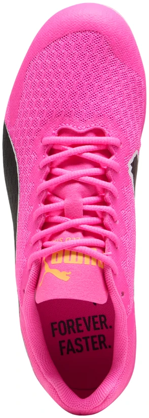 Buty vaikams Puma Evo Speed Star 9 kolce 310796 07 (37,5)