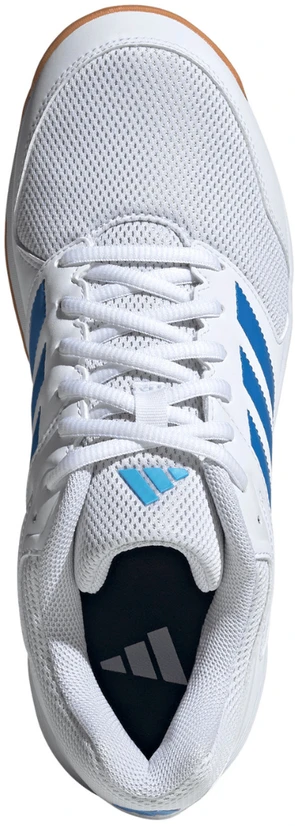 Adidas Speedcourt Vyriški bateliai sportui patalpose balti KJ3681