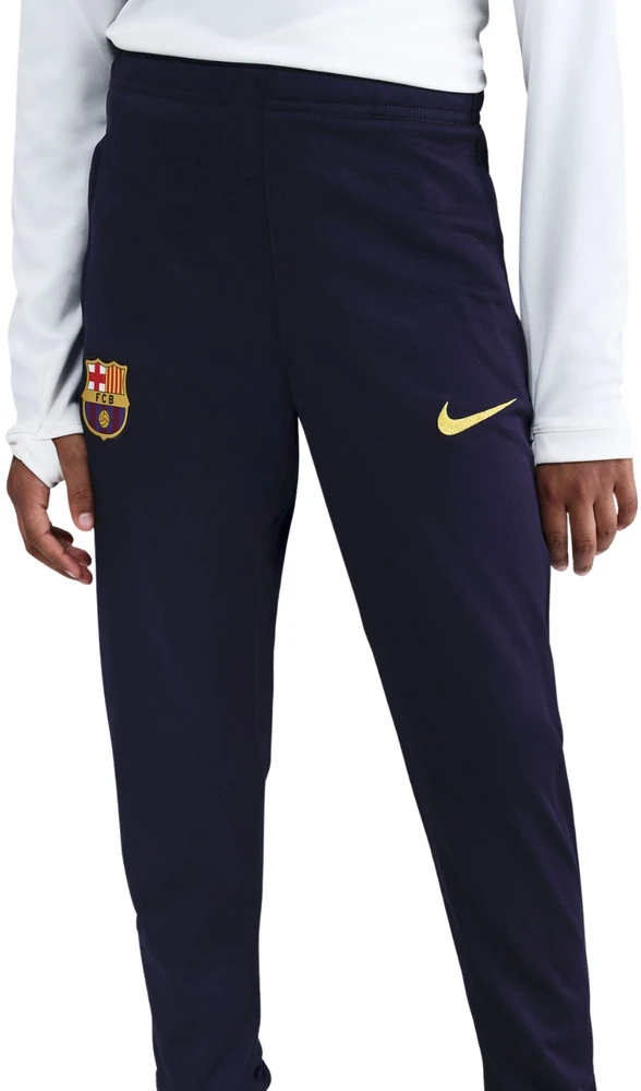 Dres vaikams Nike FC Barcelona Strike violetinė-juoda HJ8027 552 (S)