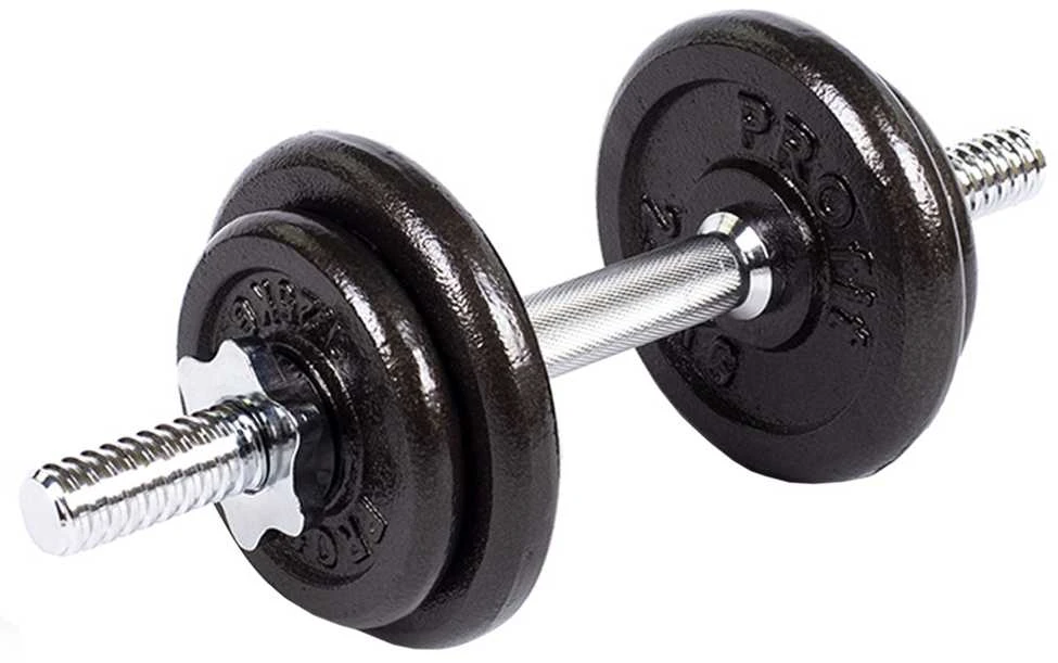 Hantelis PROFIT 10kg DK 4126
