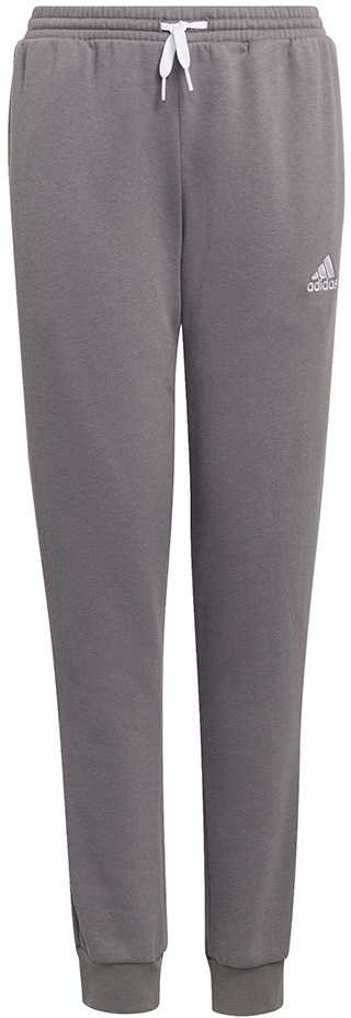 Kelnės vaikams adidas Entrada 22 Sweat Pants pilka H57519 (116cm)