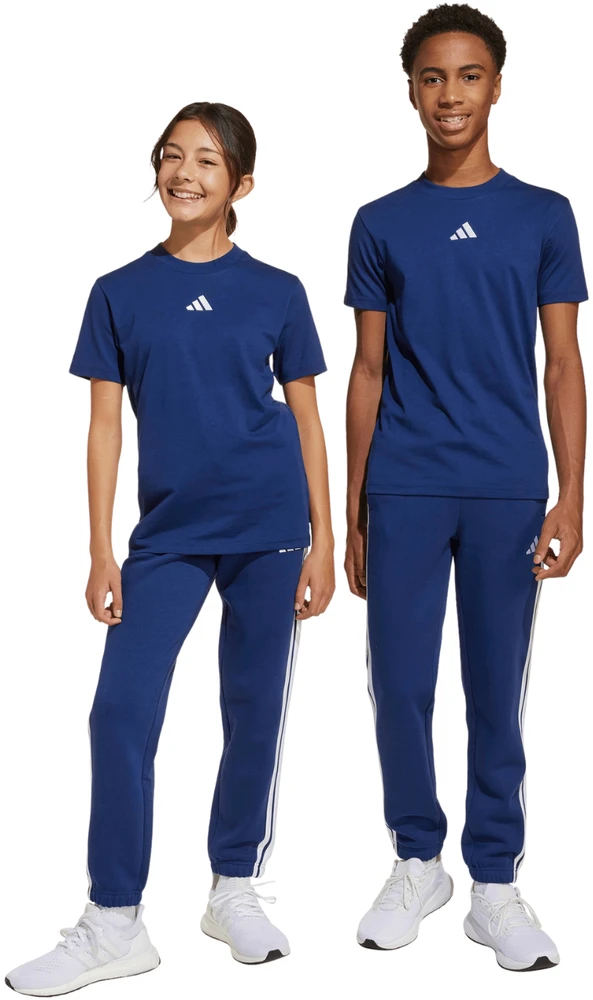 Kelnės vaikams adidas Essentials mėlyna JY0603 (128cm)