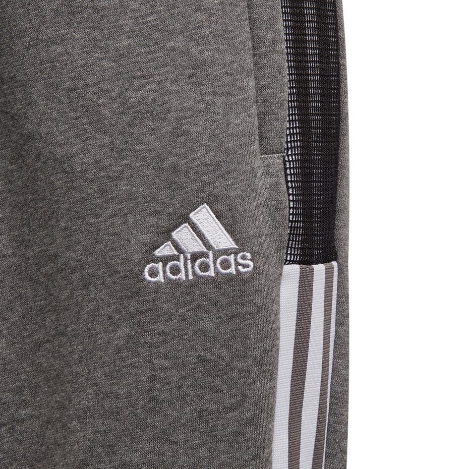 Kelnės adidas Tiro 21 Sweat Jr GP8809 (Feature-164cm)