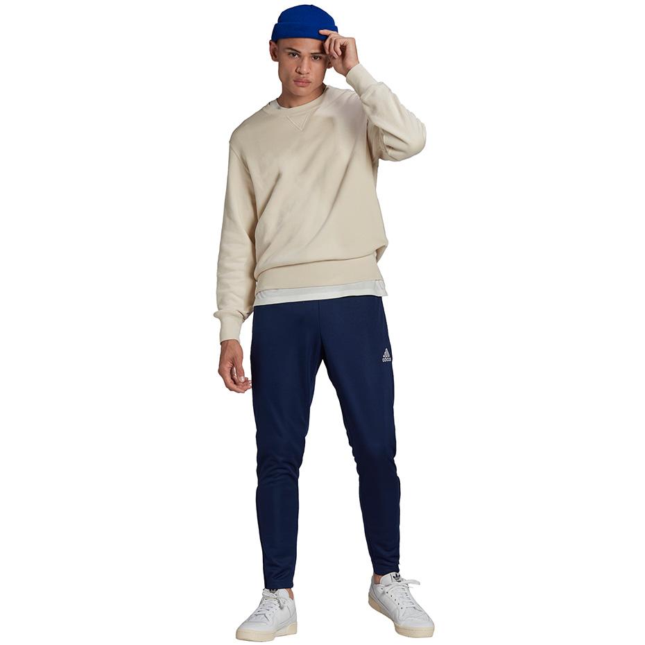 Kelnės vyrams adidas Entrada 22 Training Pants tamsiai mėlyna HC0333 (L)