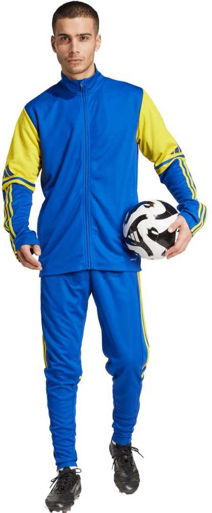 Kelnės vyrams adidas Squadra 25 Training mėlyna-geltona JP3152 (2XL)