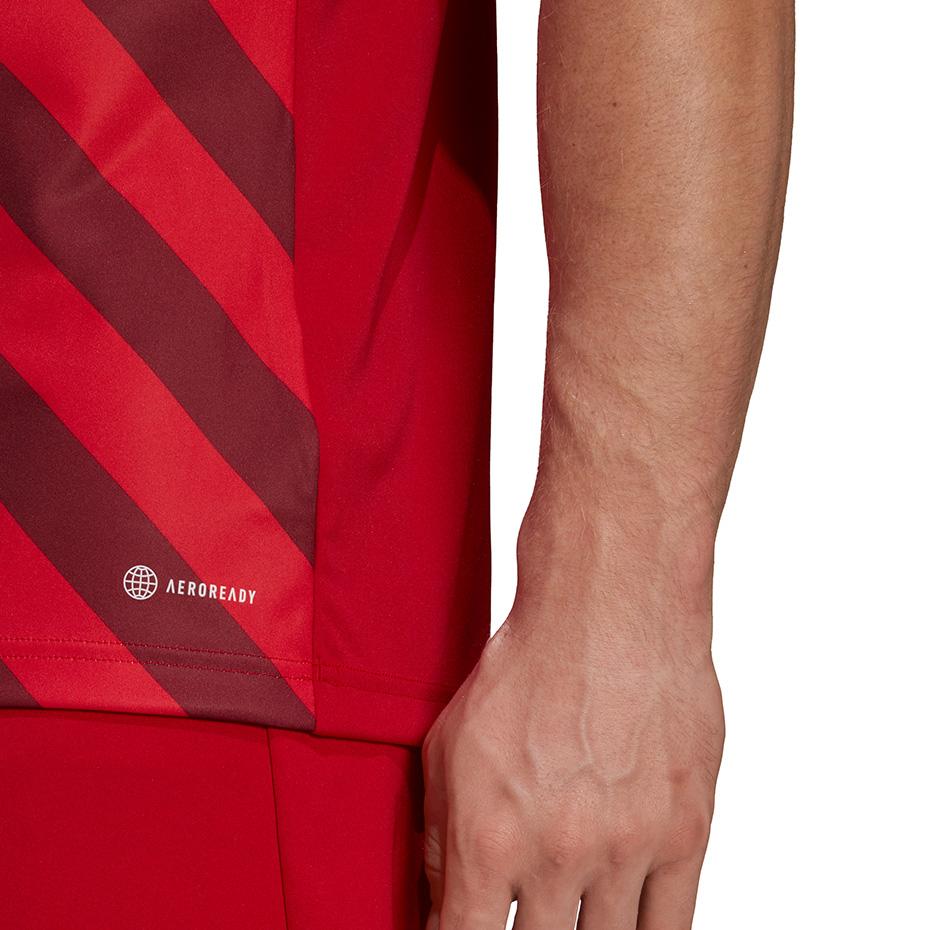 Adidas Entrada 22 grafiniai marškinėliai M HB0572