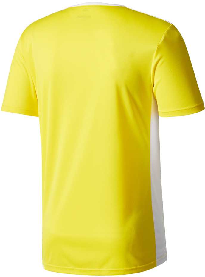 Adidas Entrada 18 Jsyy Jr CF1039 marškinėliai