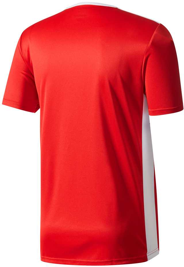 adidas Entrada 18 Jr CF1050 marškinėliai