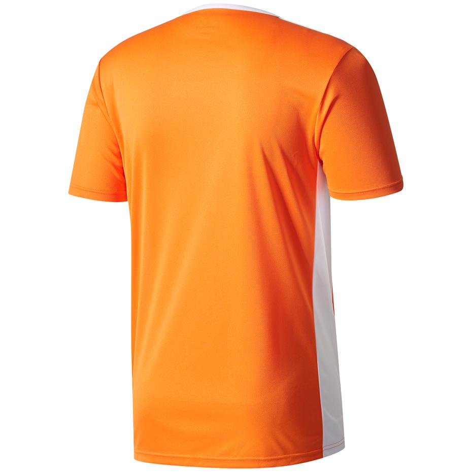 Adidas Entrada 18 JSY Y Jr CF1043 Marškinėliai