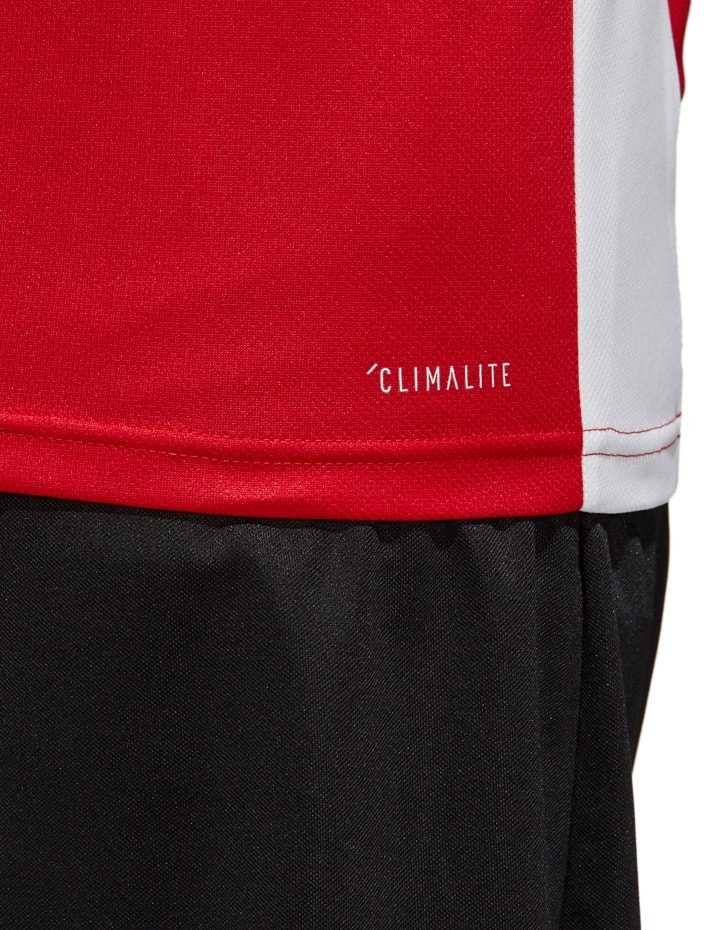 adidas Entrada 18 Jr CF1050 marškinėliai