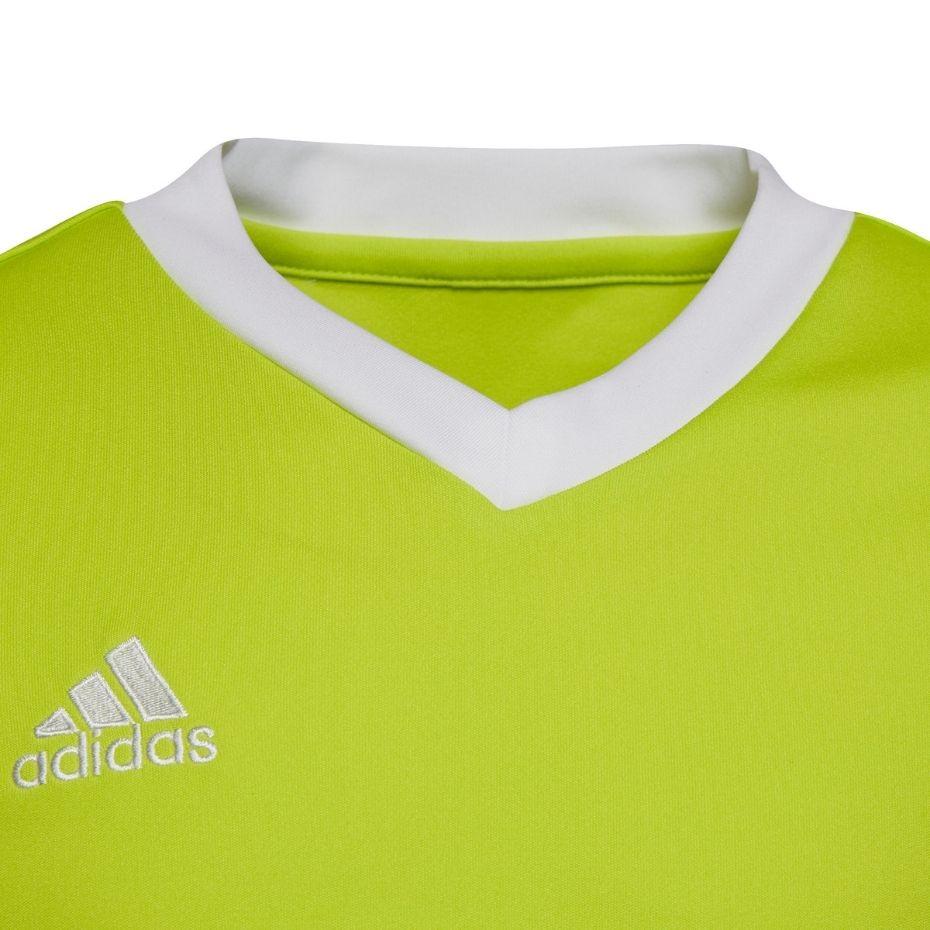 adidas Entrada 22 Marškinėliai Jr HC5079