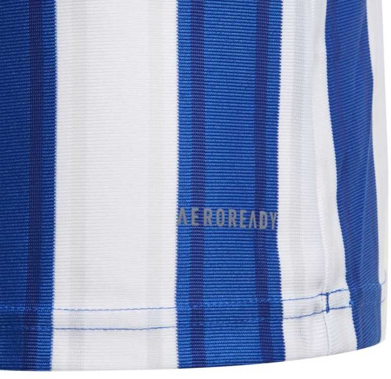 Marškinėliai adidas Striped 21 Jr GH7323 (Rozmiar-164)