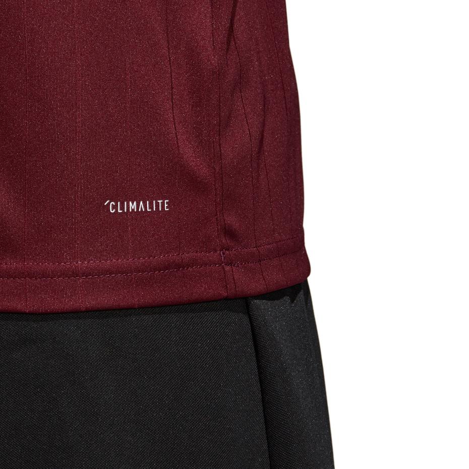 Adidas Table 18 marškinėliai CE8945 M bordo