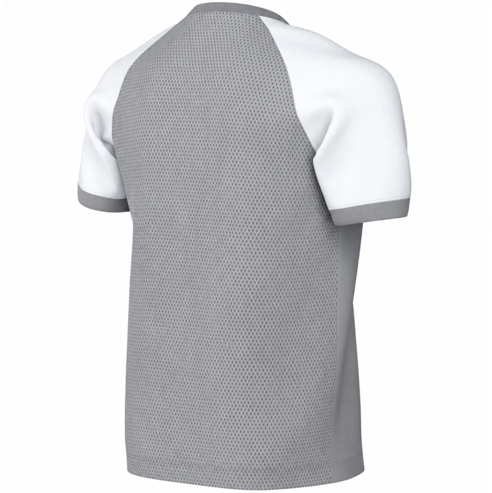 Marškinėliai vaikams Nike Dri-FIT Trophy VI pilka HV8158 012 (L)