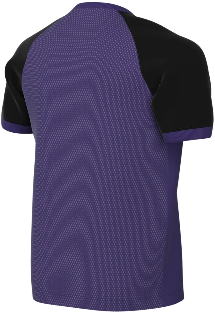 Marškinėliai vaikams Nike Dri-FIT Trophy VI violetinė HV8158 547 (S)