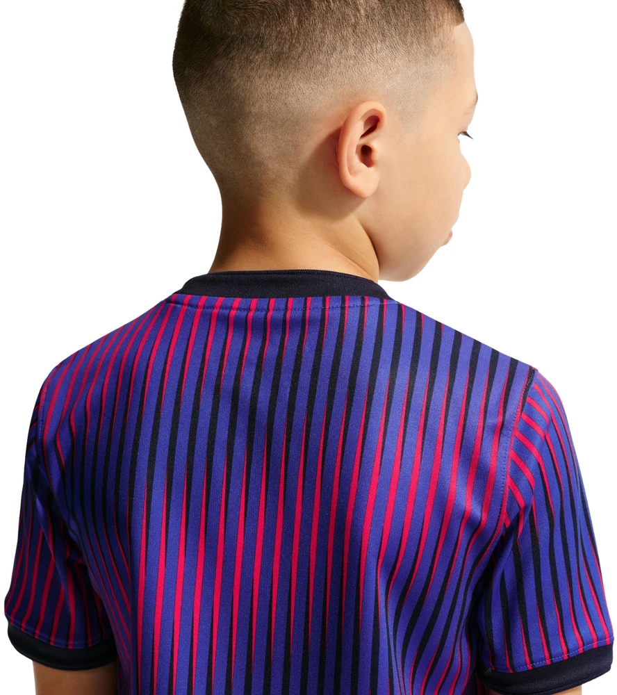 Marškinėliai vaikams Nike Paris Saint-Germain violetinė IQ6946 420 (XL)