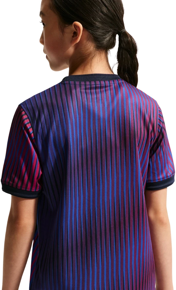 Marškinėliai vaikams Nike Paris Saint-Germain violetinė IQ6946 420 (XL)