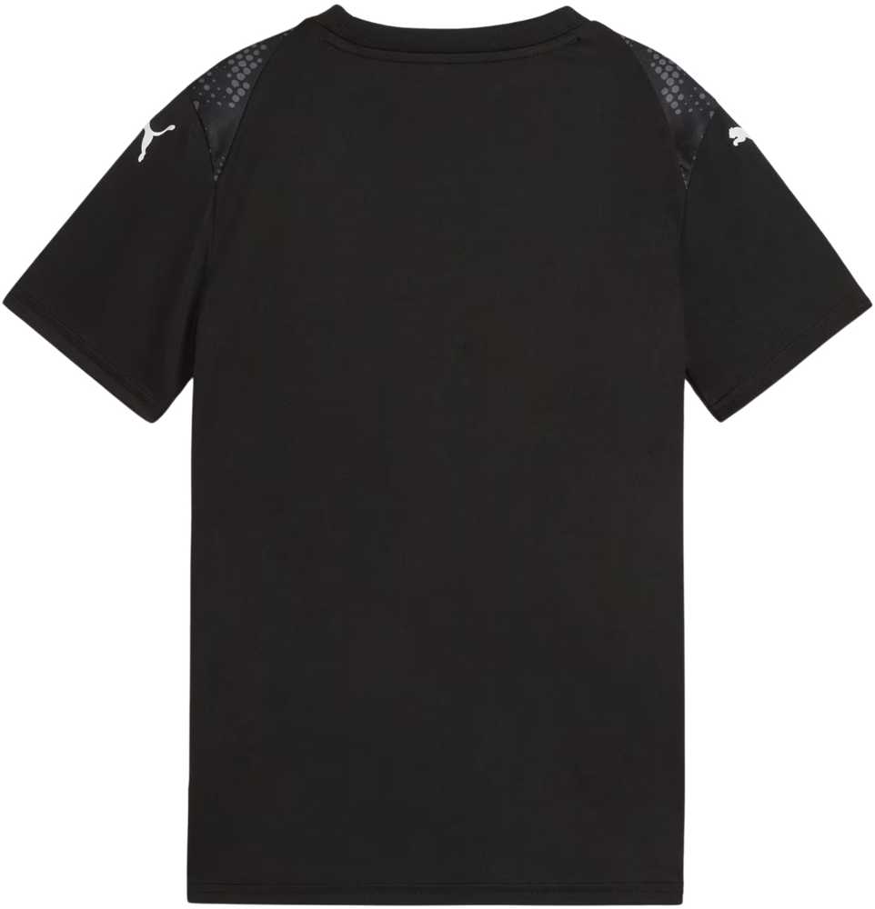 Vaikiški marškinėliai Puma Team Ultimate Jersey, juodi, 706282 03